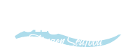 Image module